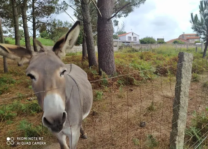 Tatil Evi Casa Surf Lanzada